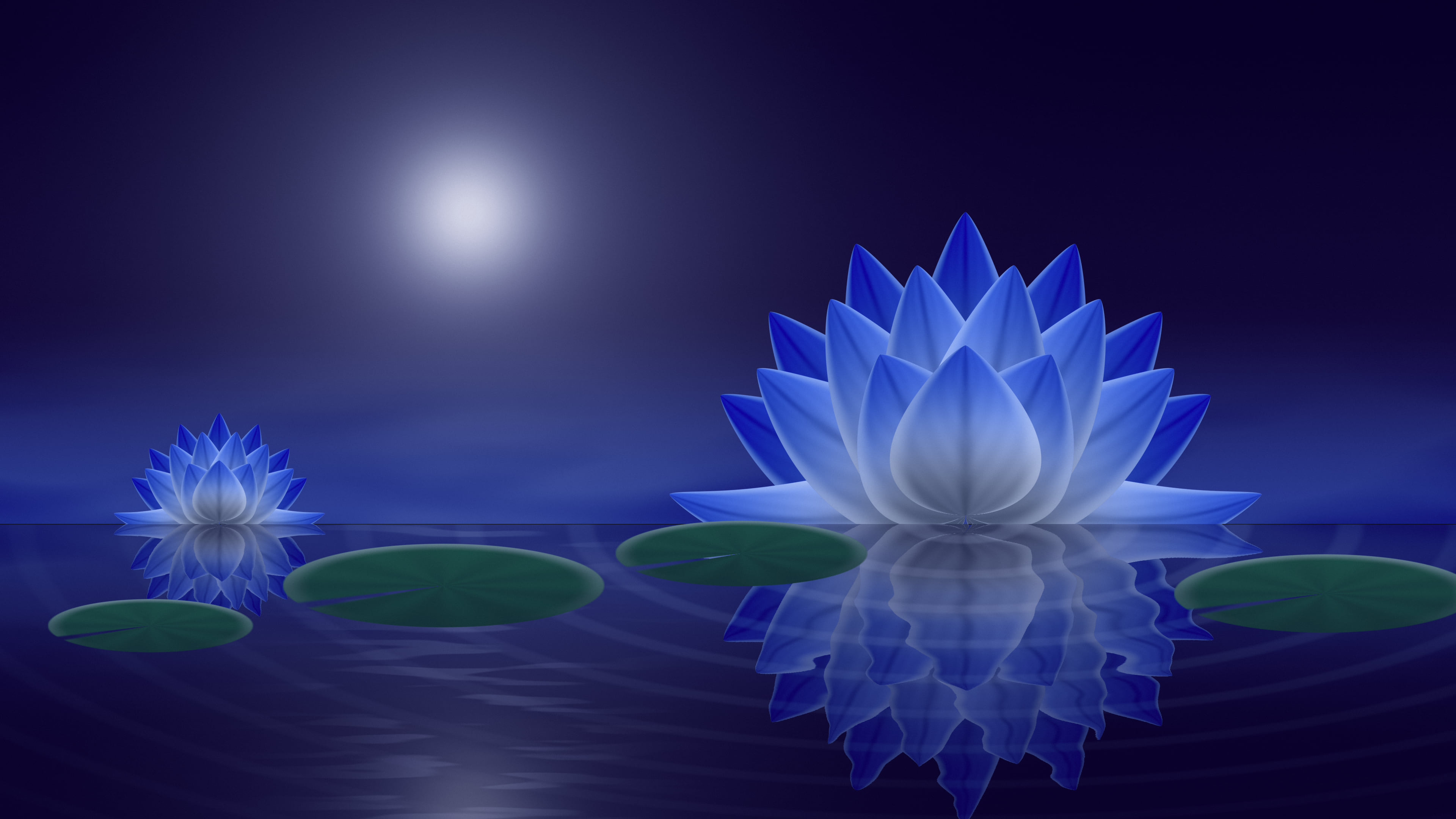 Royal Blue Lotus Flower desktop wallpaper in 4K