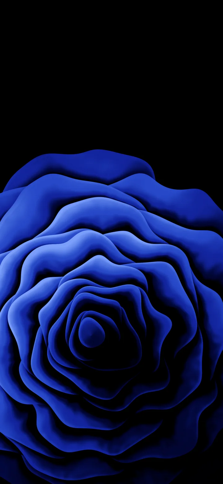 Royal Blue Rose from Above wallpaper for iPhone and Android