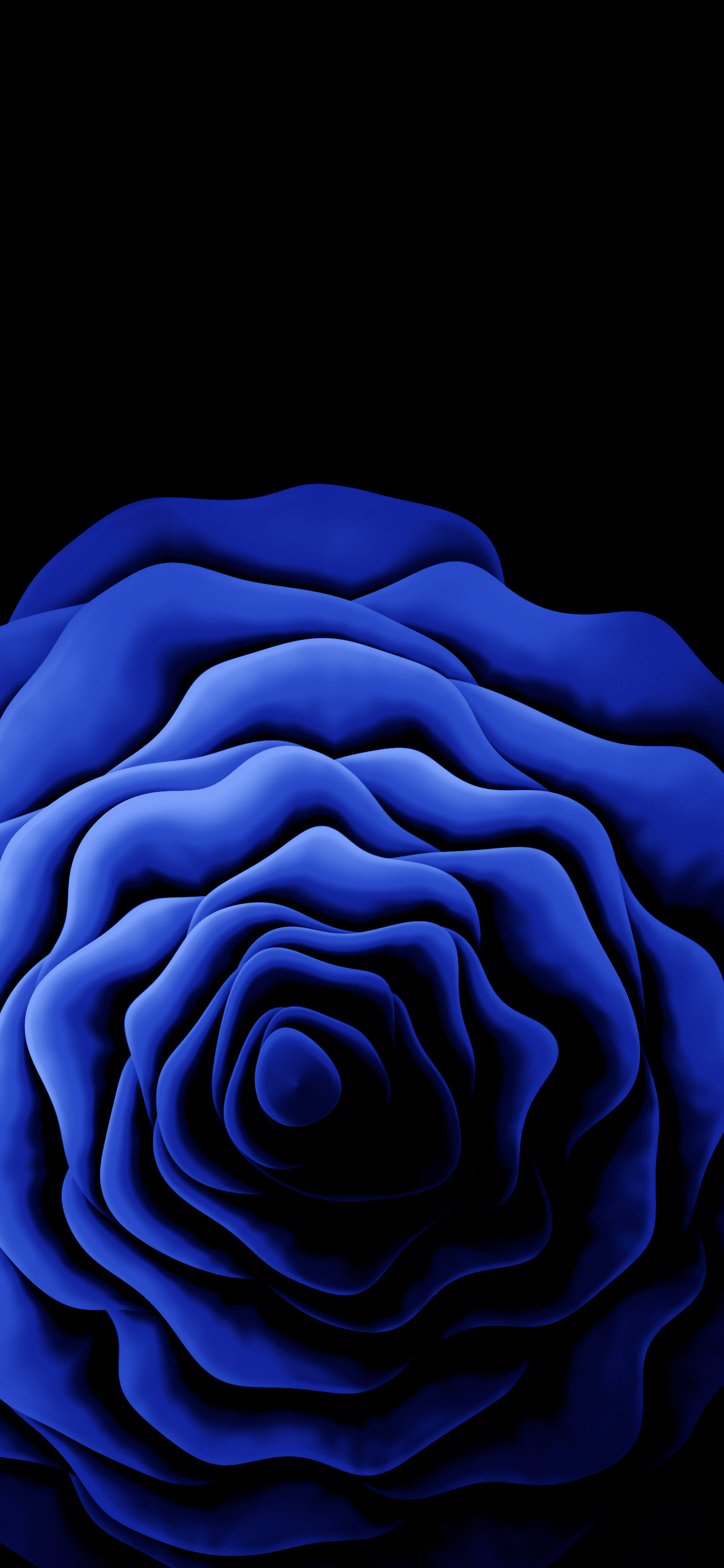 Royal Blue Rose from Above wallpaper for iPhone and Android