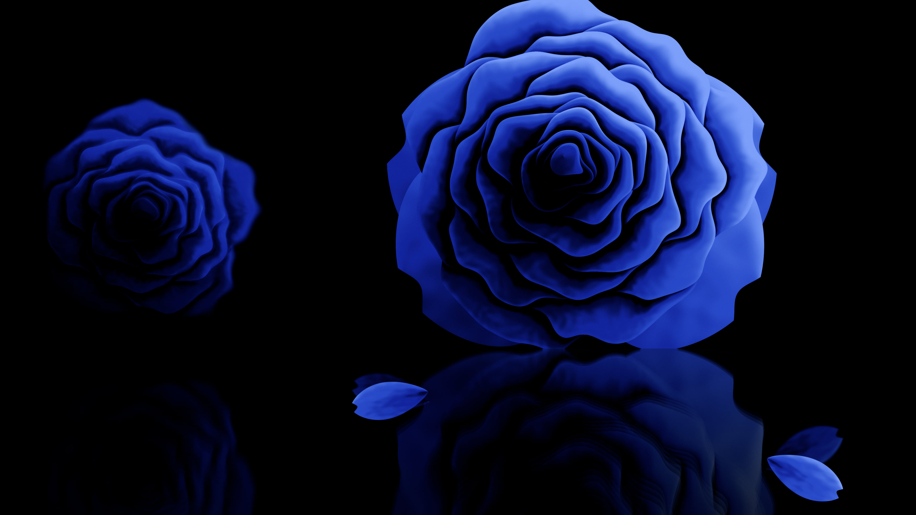 Royal Blue Rose Reflection desktop wallpaper in 4K