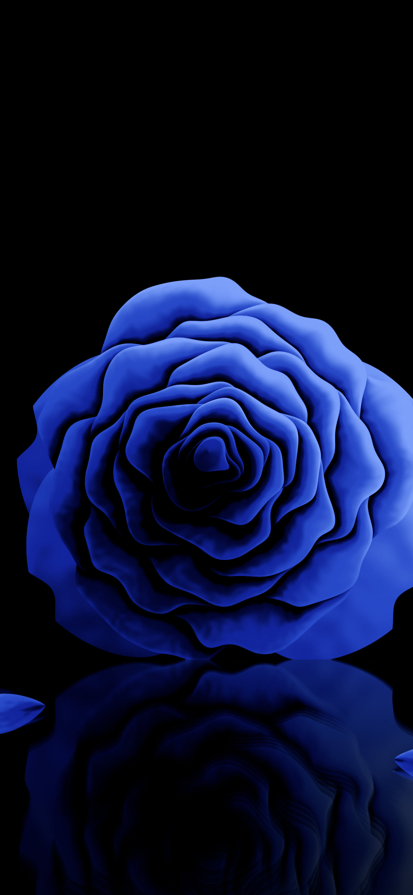 Royal Blue Rose Reflection wallpaper for iPhone and Android