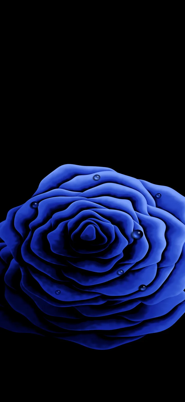 Royal Blue Rose with Dew Drops wallpaper for iPhone and Android