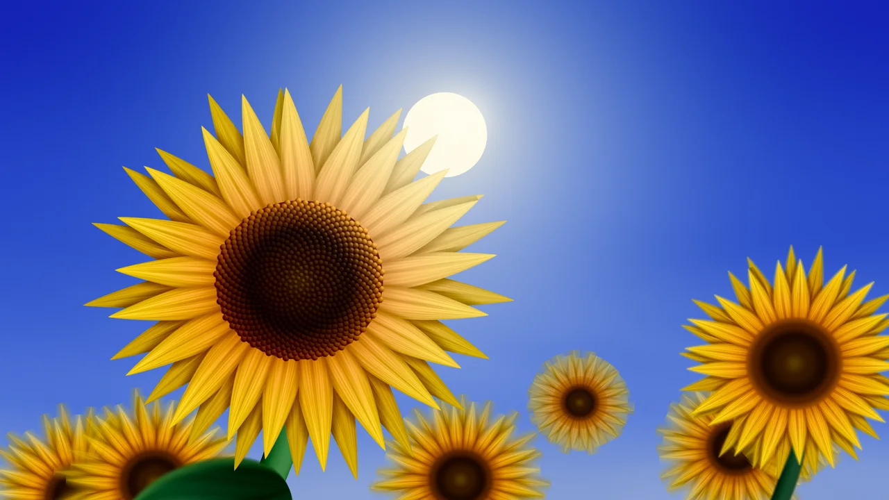 Royal Blue Sunflower Sky desktop wallpaper in 4K