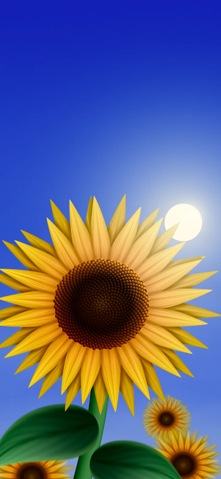 Royal Blue Sunflower Sky wallpaper for iPhone and Android