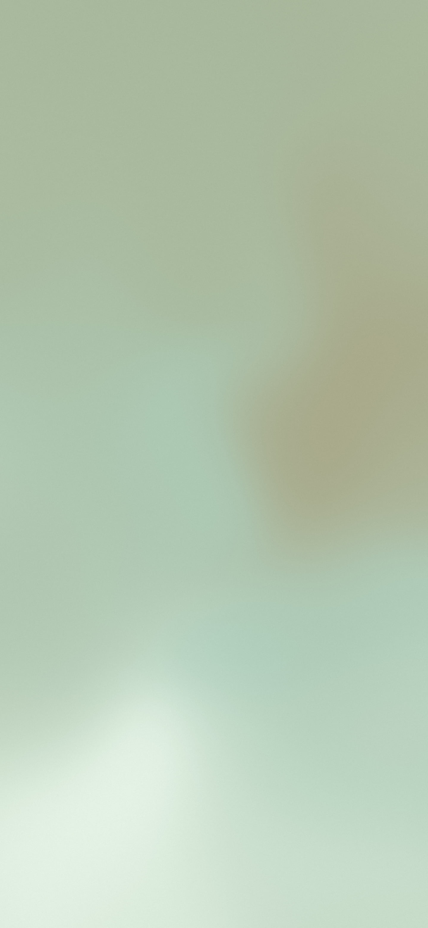 Sage Green Mesh Gradient wallpaper for iPhone and Android