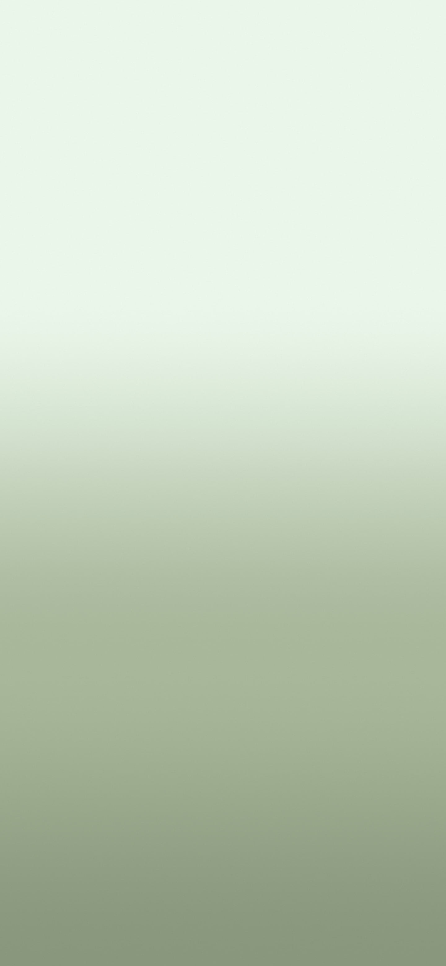 Sage Green Ombre Gradient wallpaper for iPhone and Android
