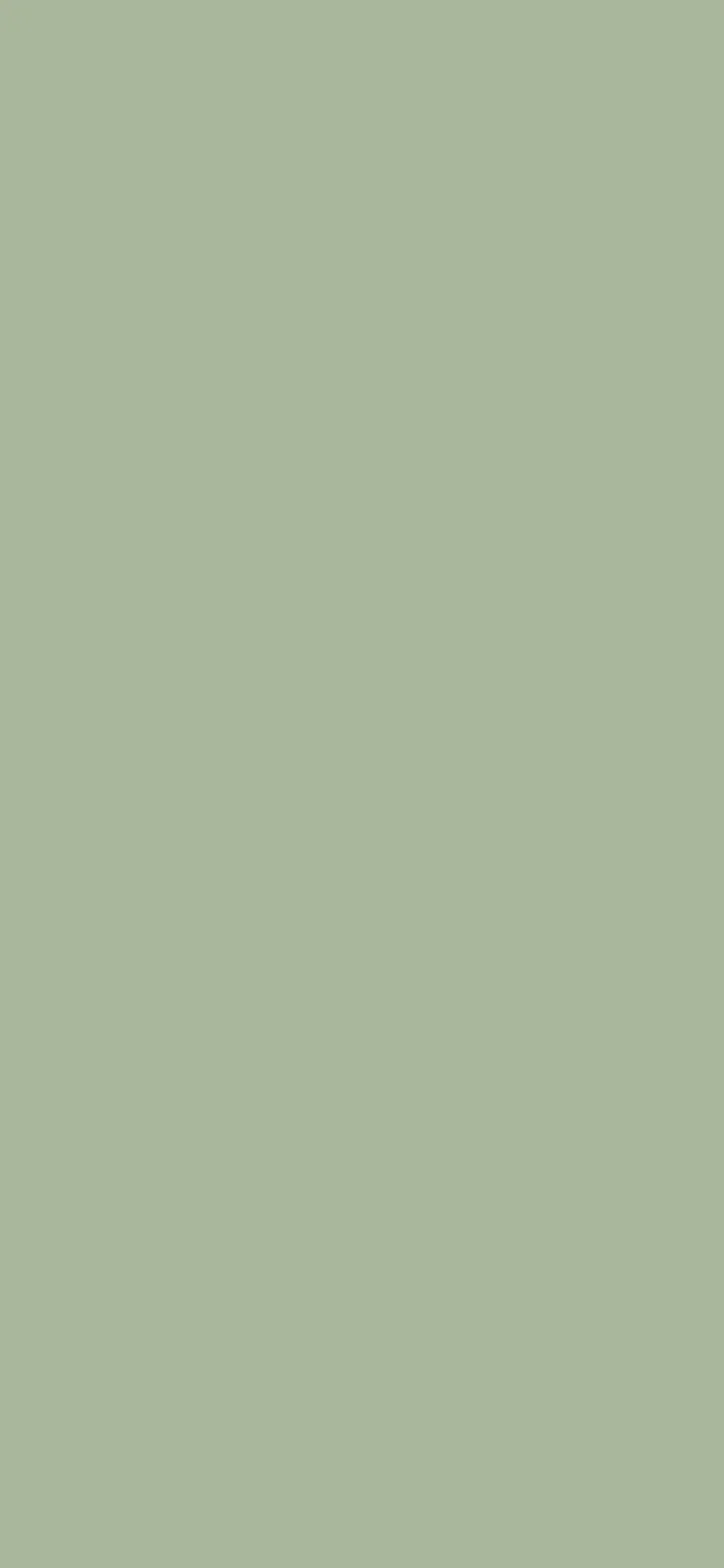 Sage Green Plain Solid Color wallpaper for iPhone and Android