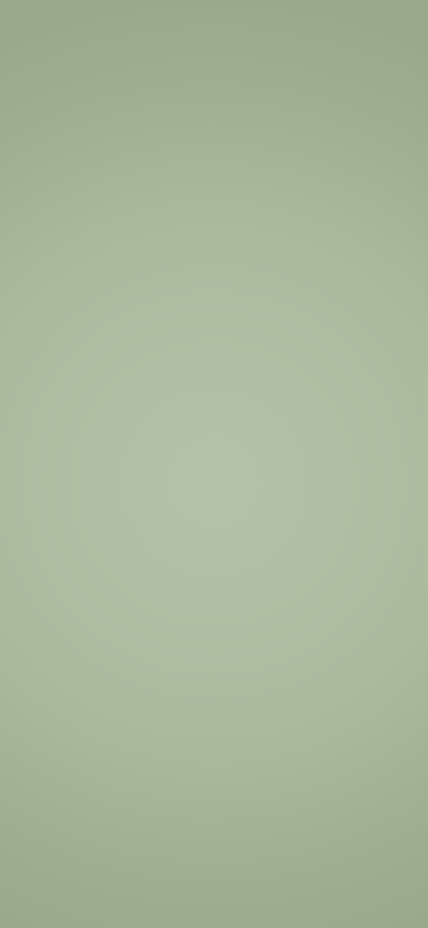 Sage Green Soft Solid Color wallpaper for iPhone and Android