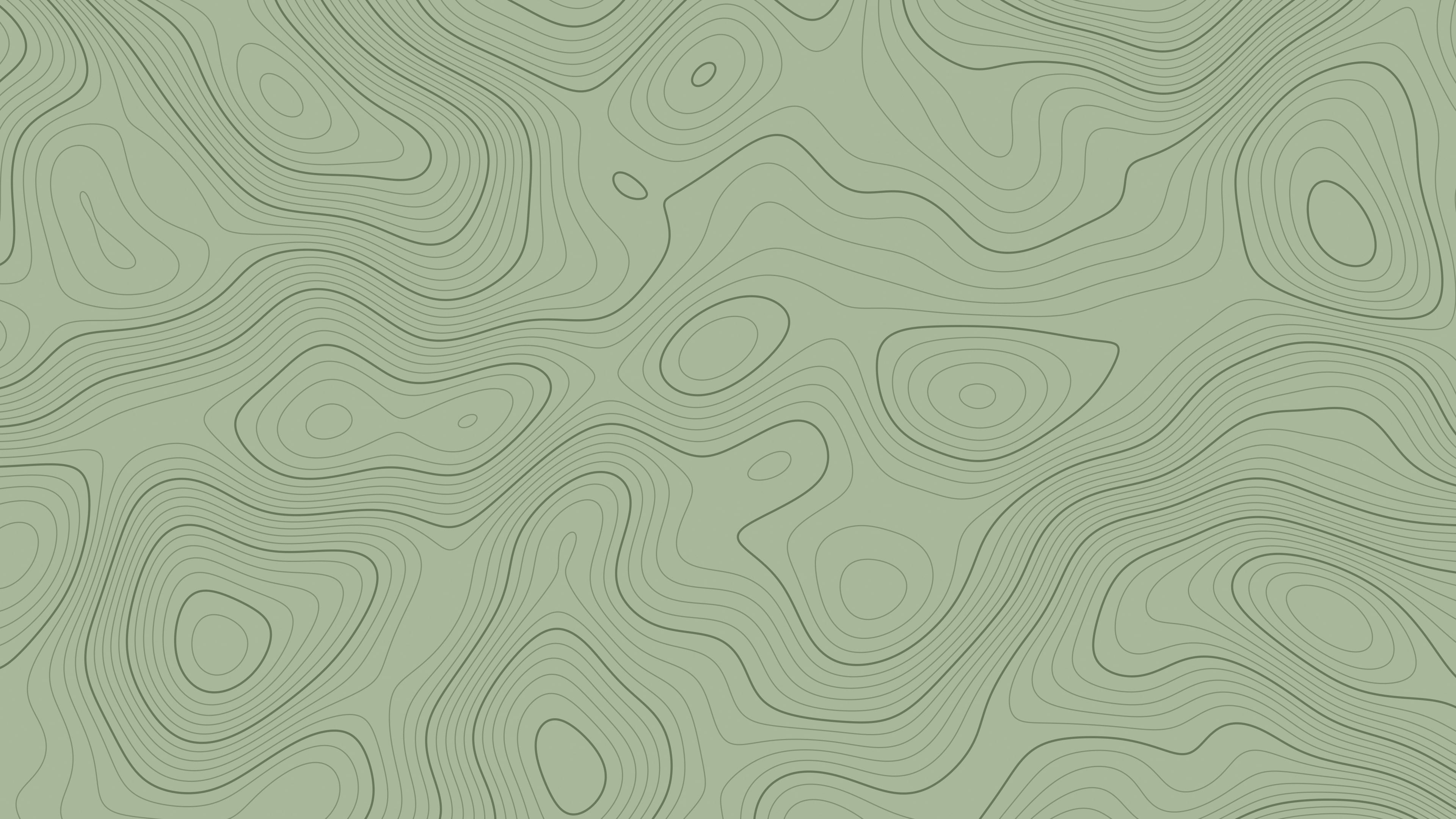 Sage Green Topographic Line desktop wallpaper in 4K