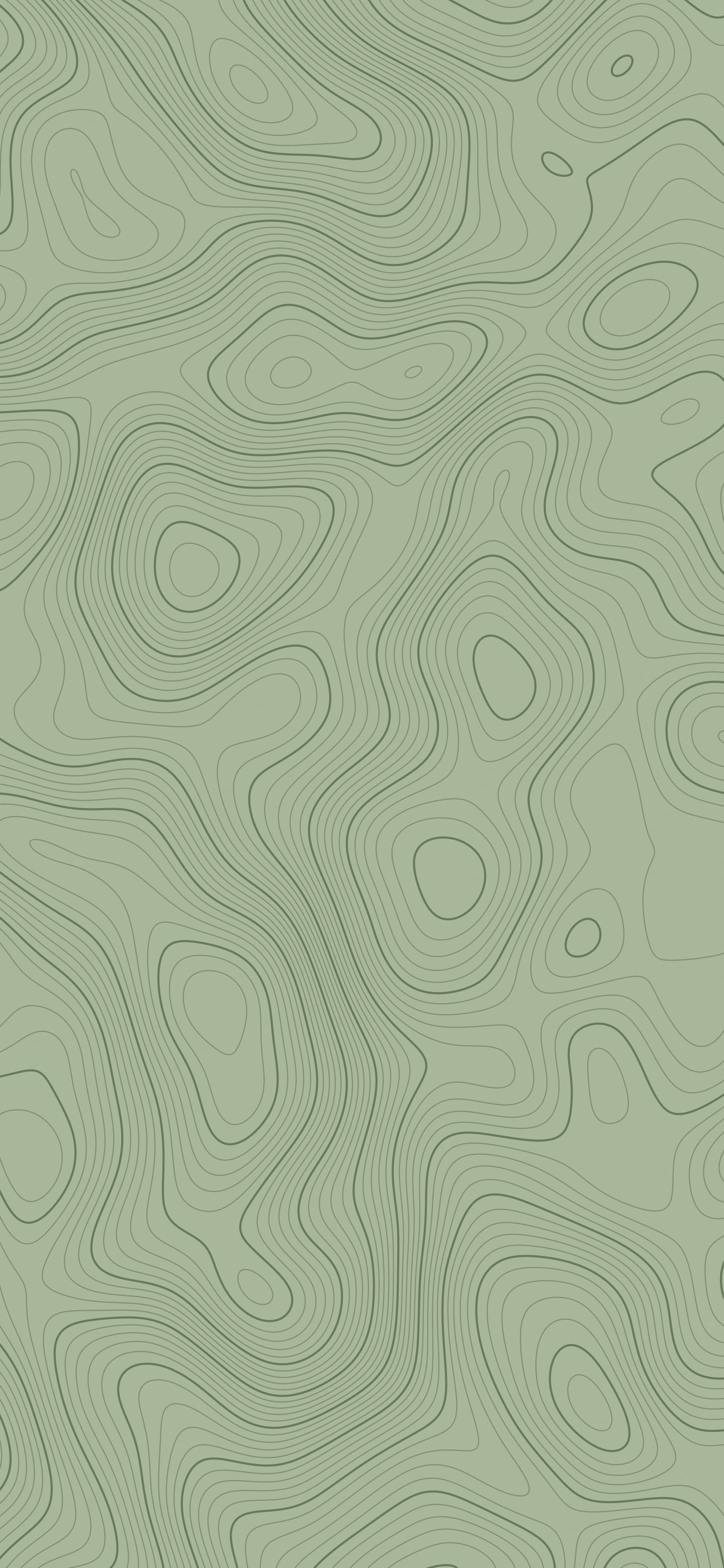 Sage Green Topographic Line wallpaper for iPhone and Android