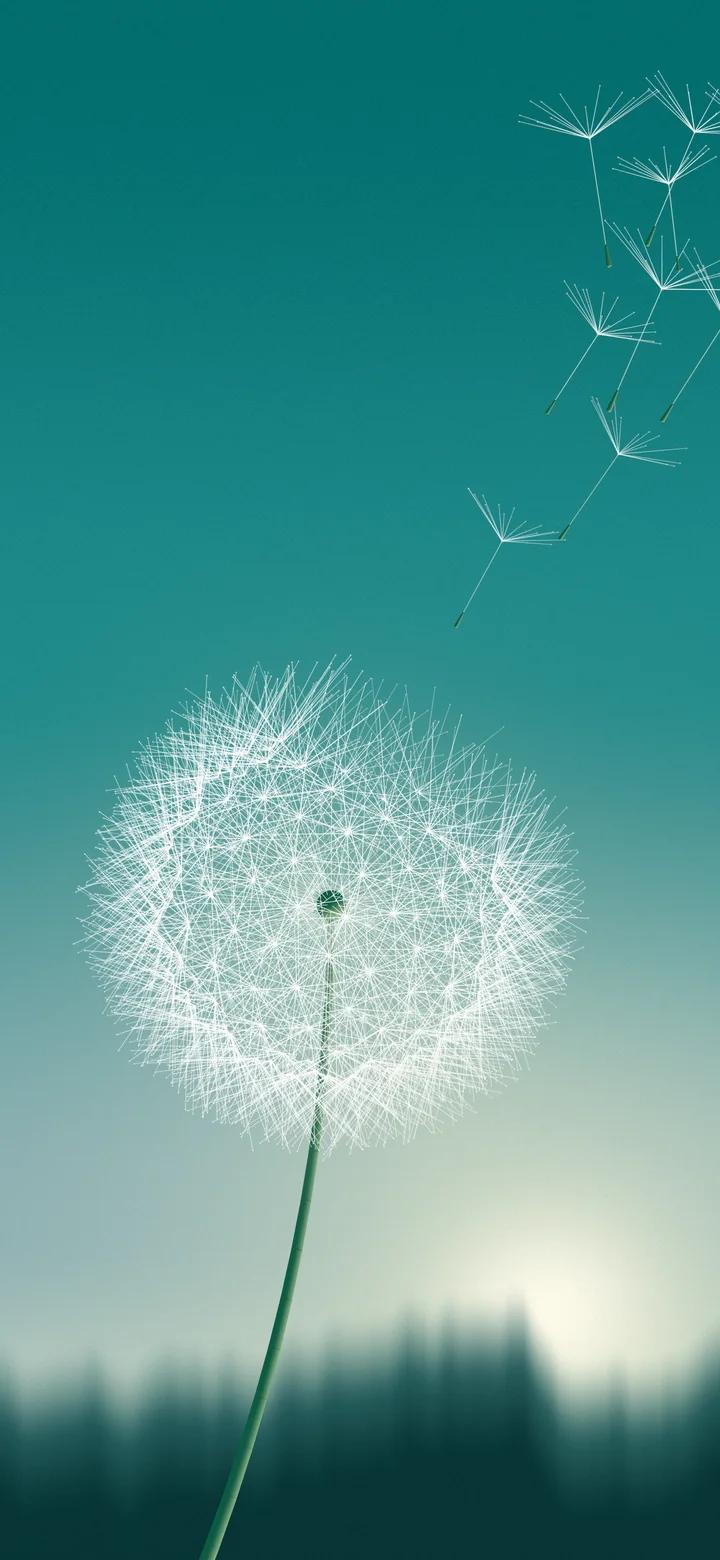 Teal Dandelion wallpaper for iPhone and Android