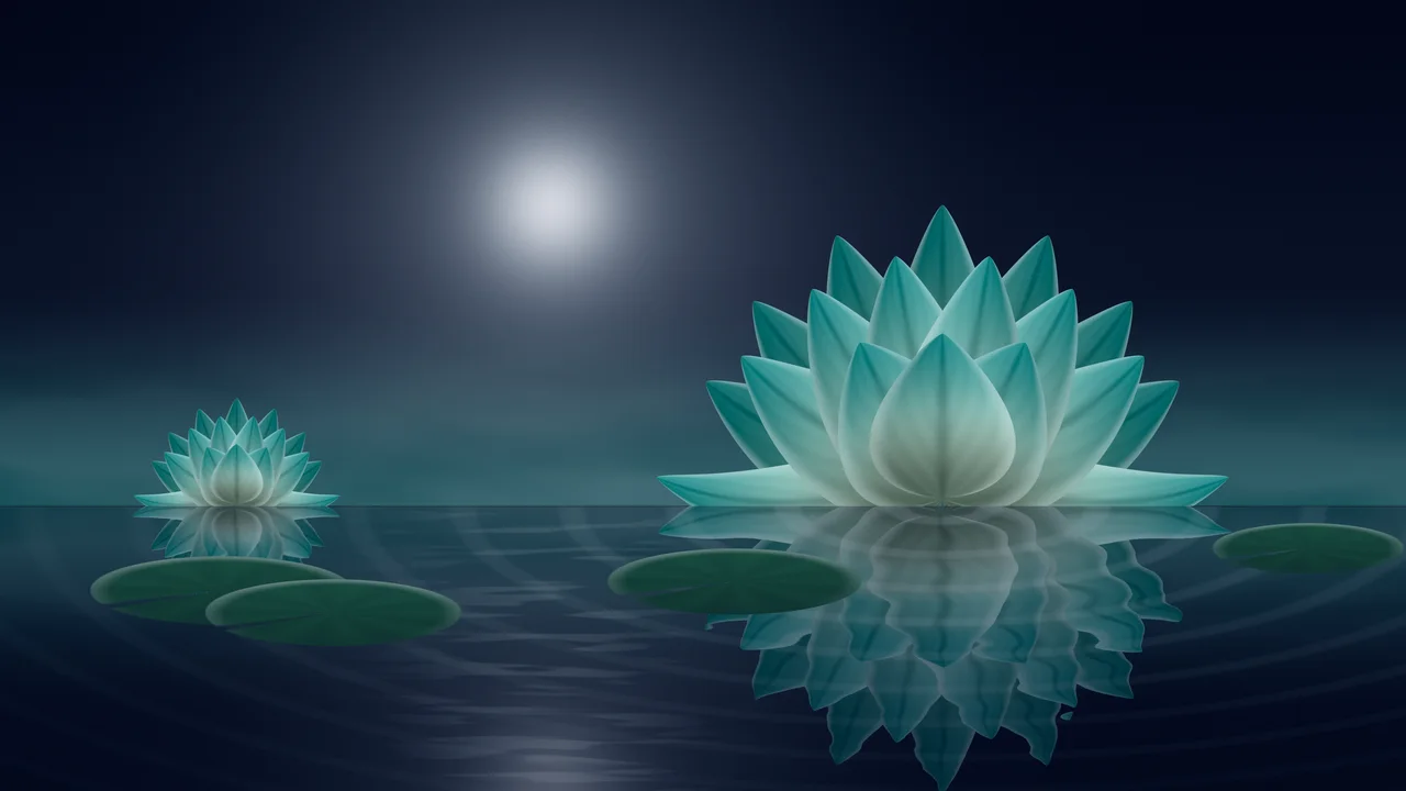 Teal Lotus Flower desktop wallpaper in 4K