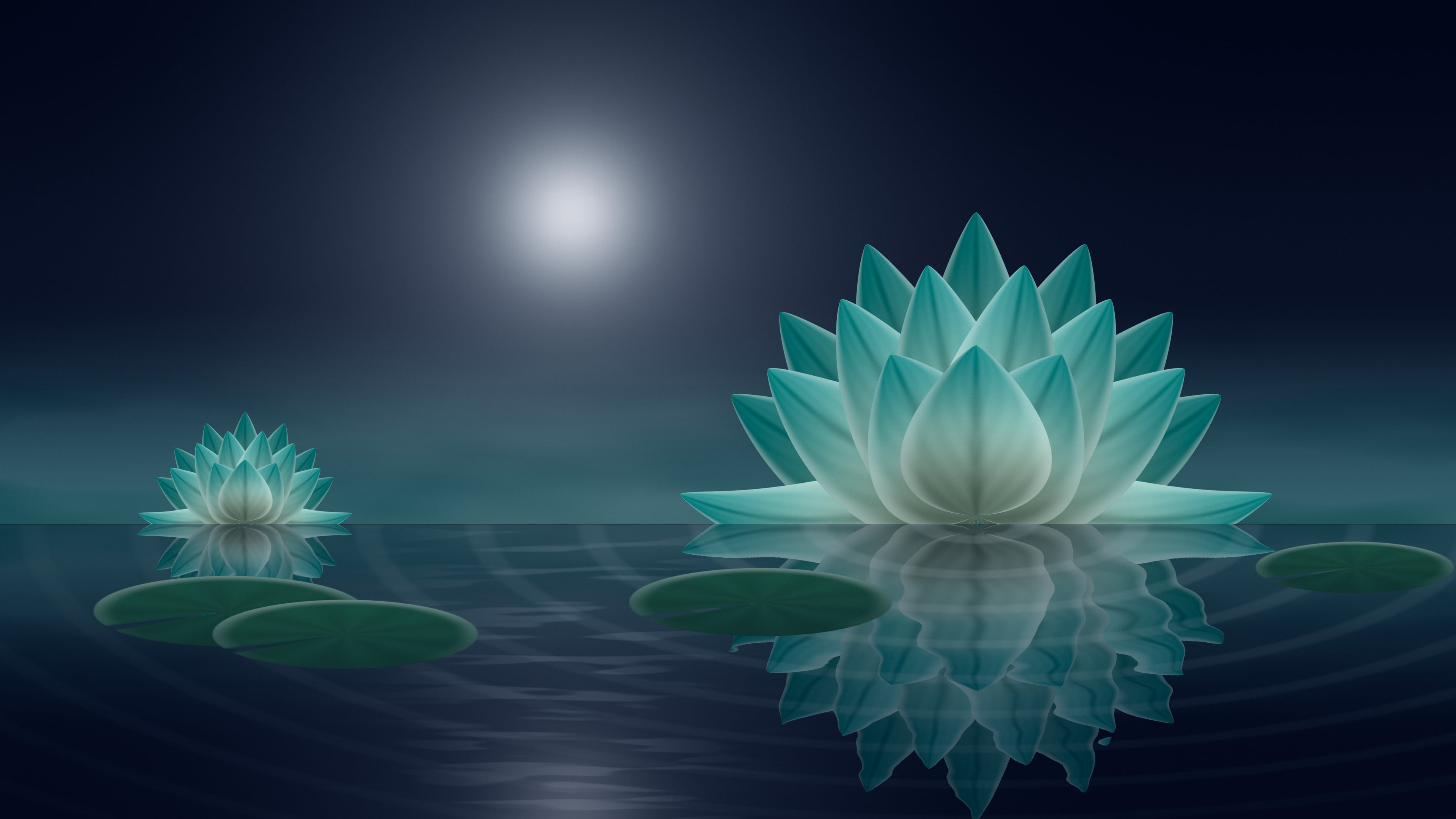 Teal Lotus Flower desktop wallpaper in 4K