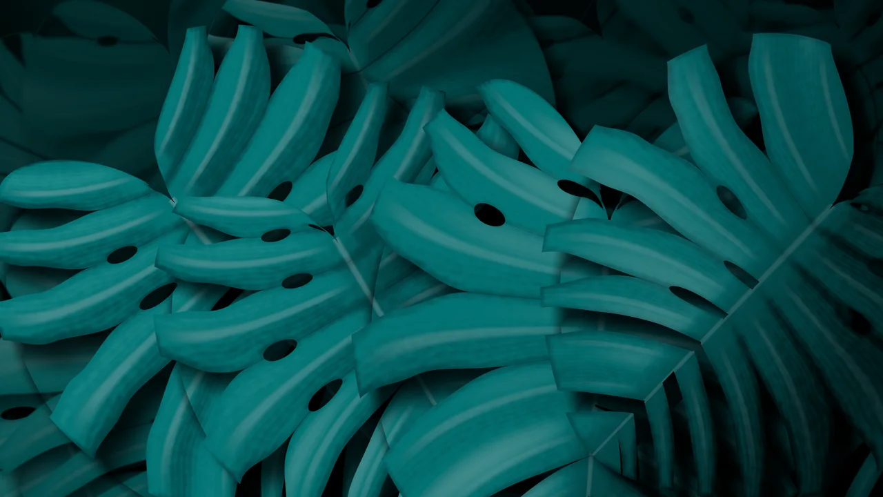 Teal Monstera Leaves desktop wallpaper in 4K