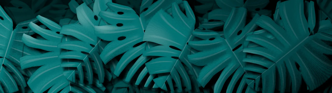 Teal Monstera Leaves dual monitor wallpaper, 7680 × 2160