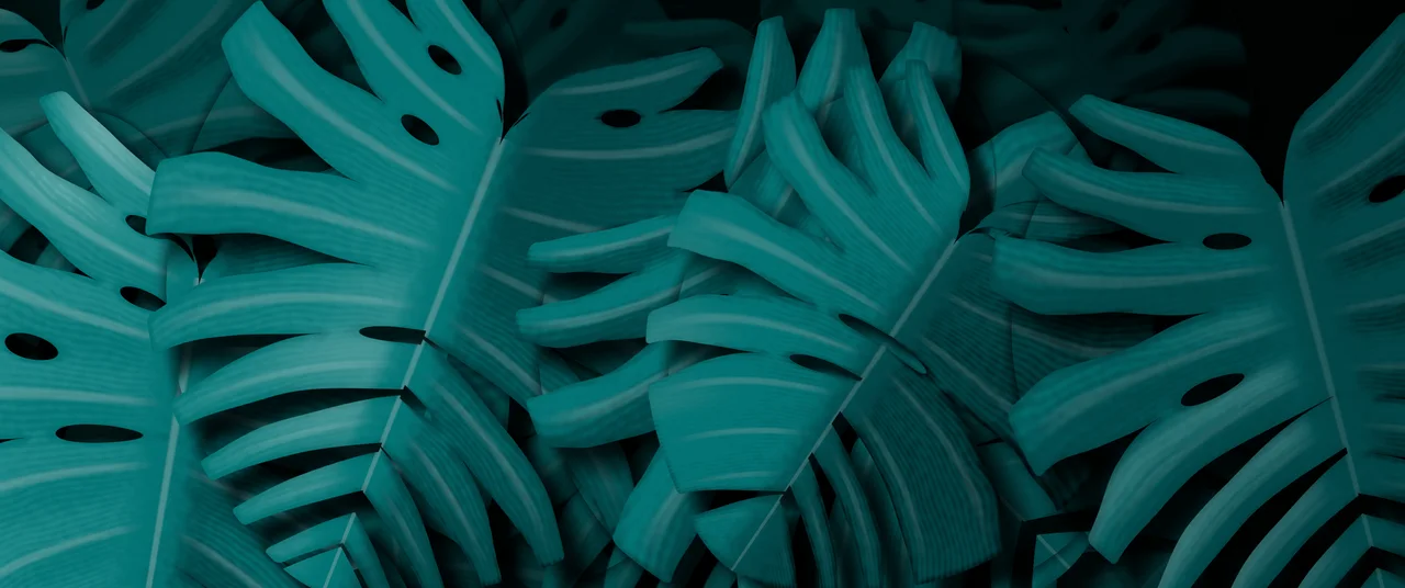 Teal Monstera Leaves ultrawide wallpaper, 3440 × 1440