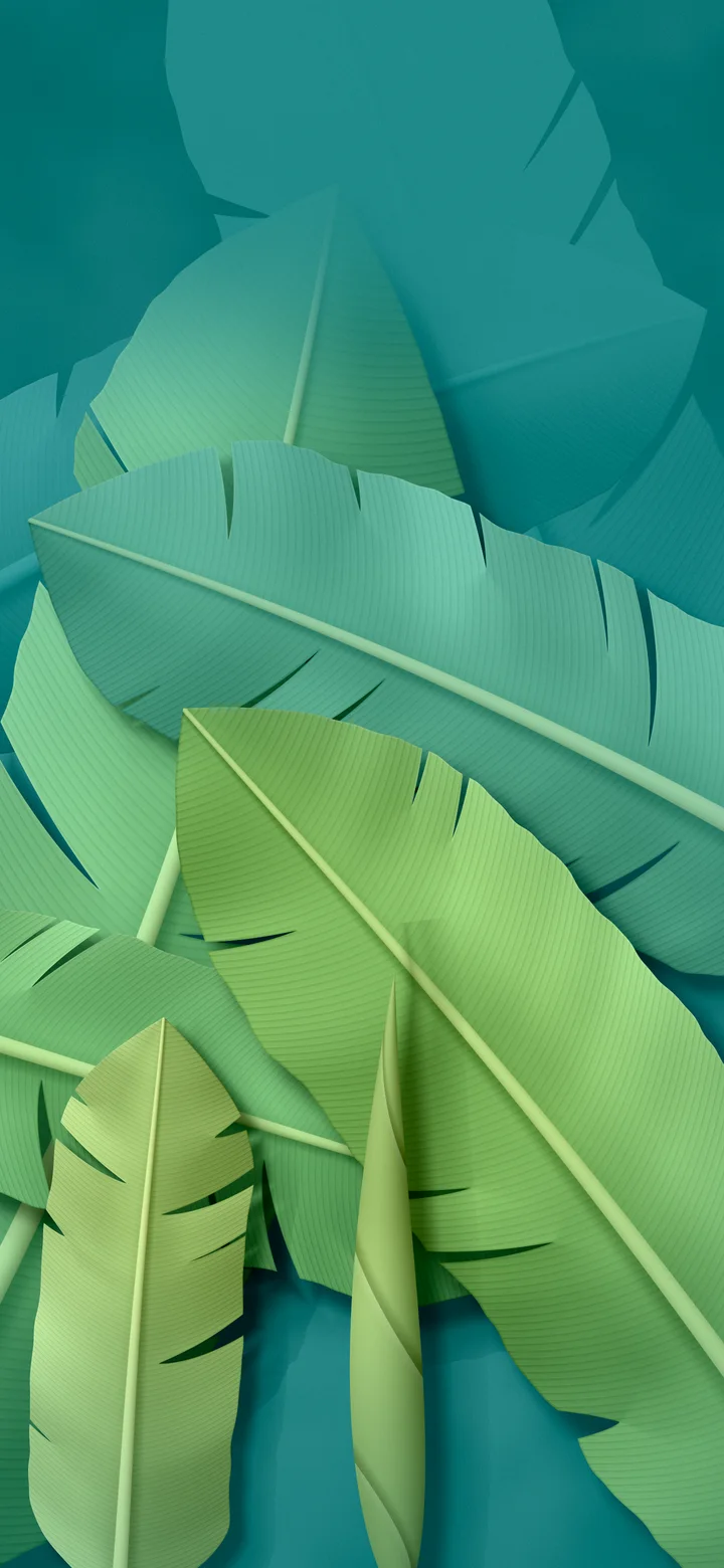 Teal Paper Banana Leaves wallpaper for iPhone and Android