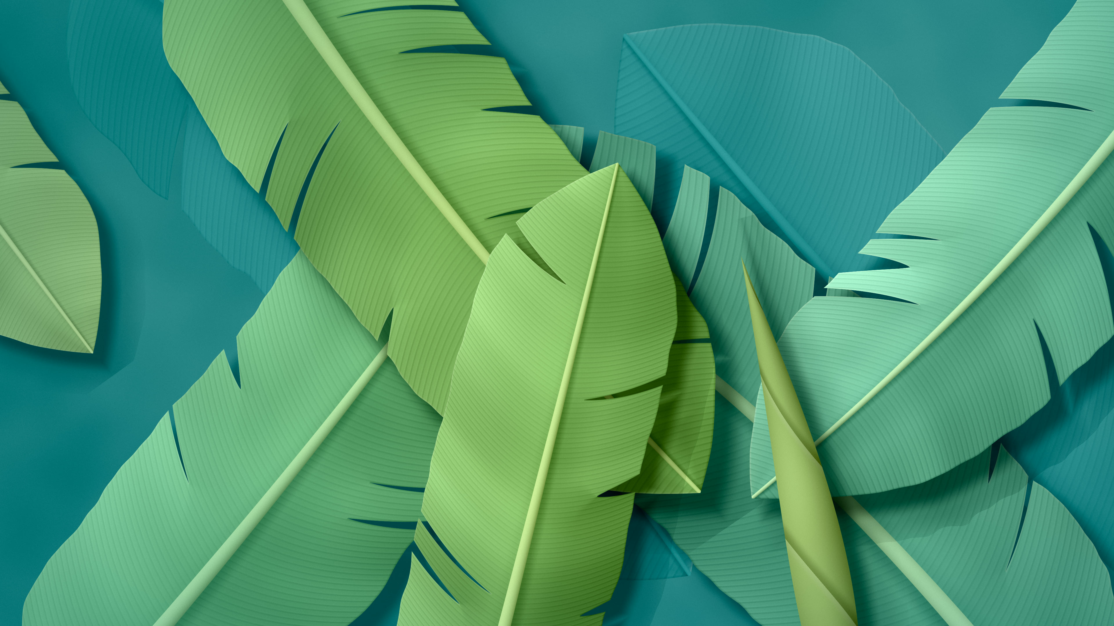 Teal Paper Banana Leaves desktop wallpaper in 4K