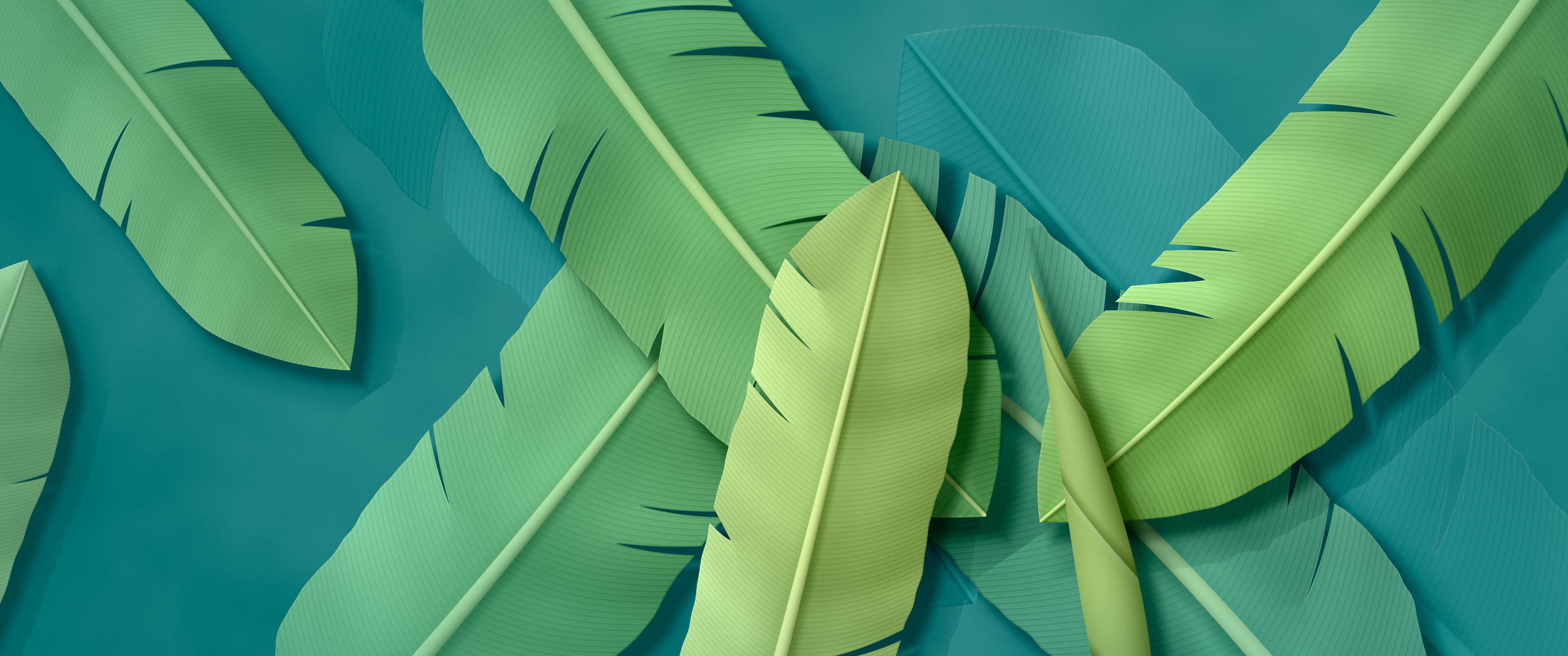 Teal Paper Banana Leaves ultrawide wallpaper, 3440 × 1440