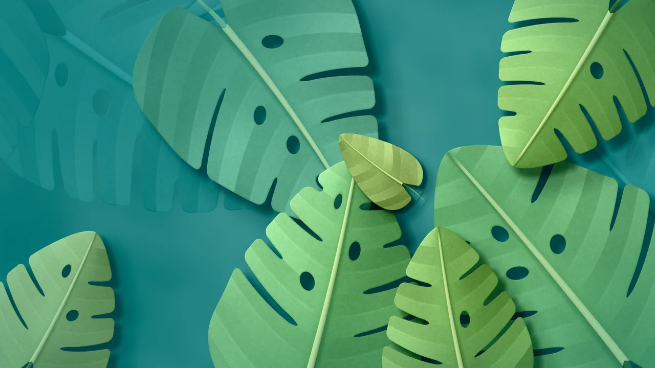 Teal Paper Monstera Leaves desktop wallpaper in 4K