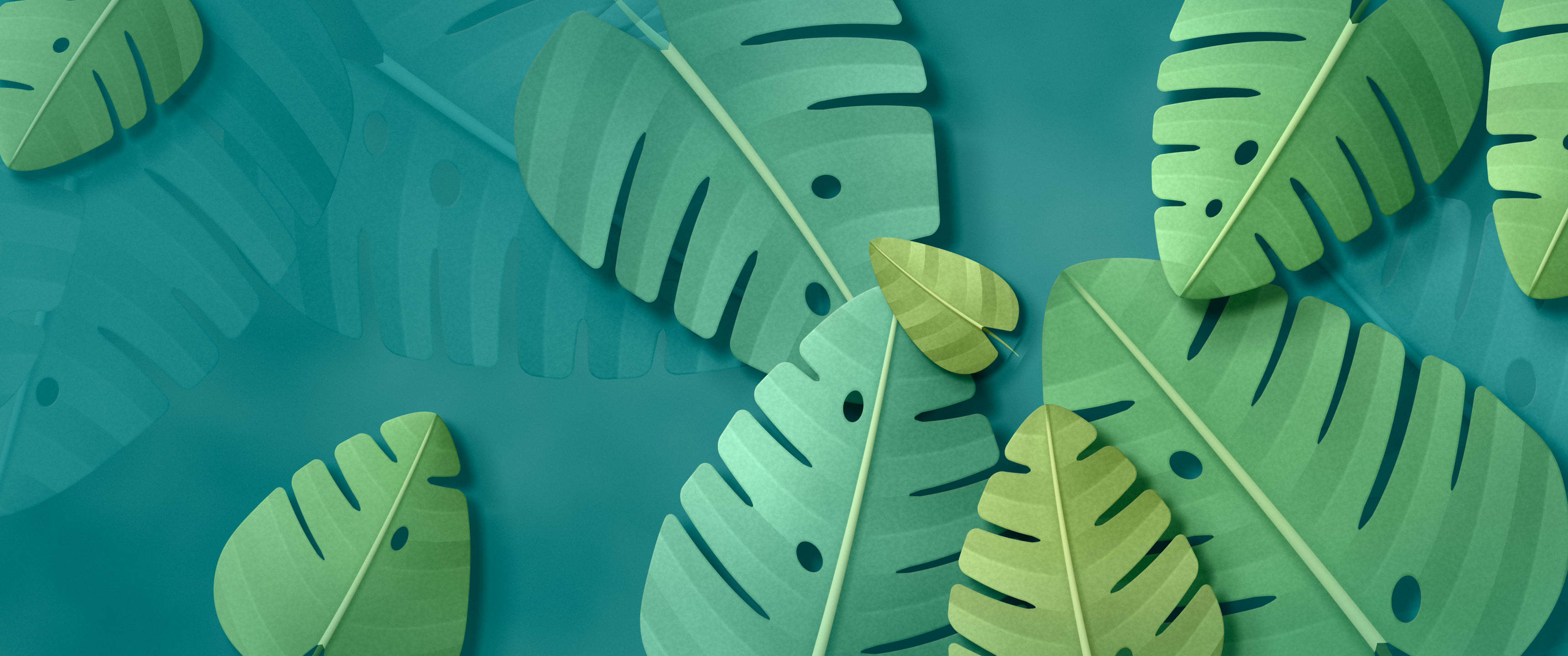 Teal Paper Monstera Leaves ultrawide wallpaper, 3440 × 1440