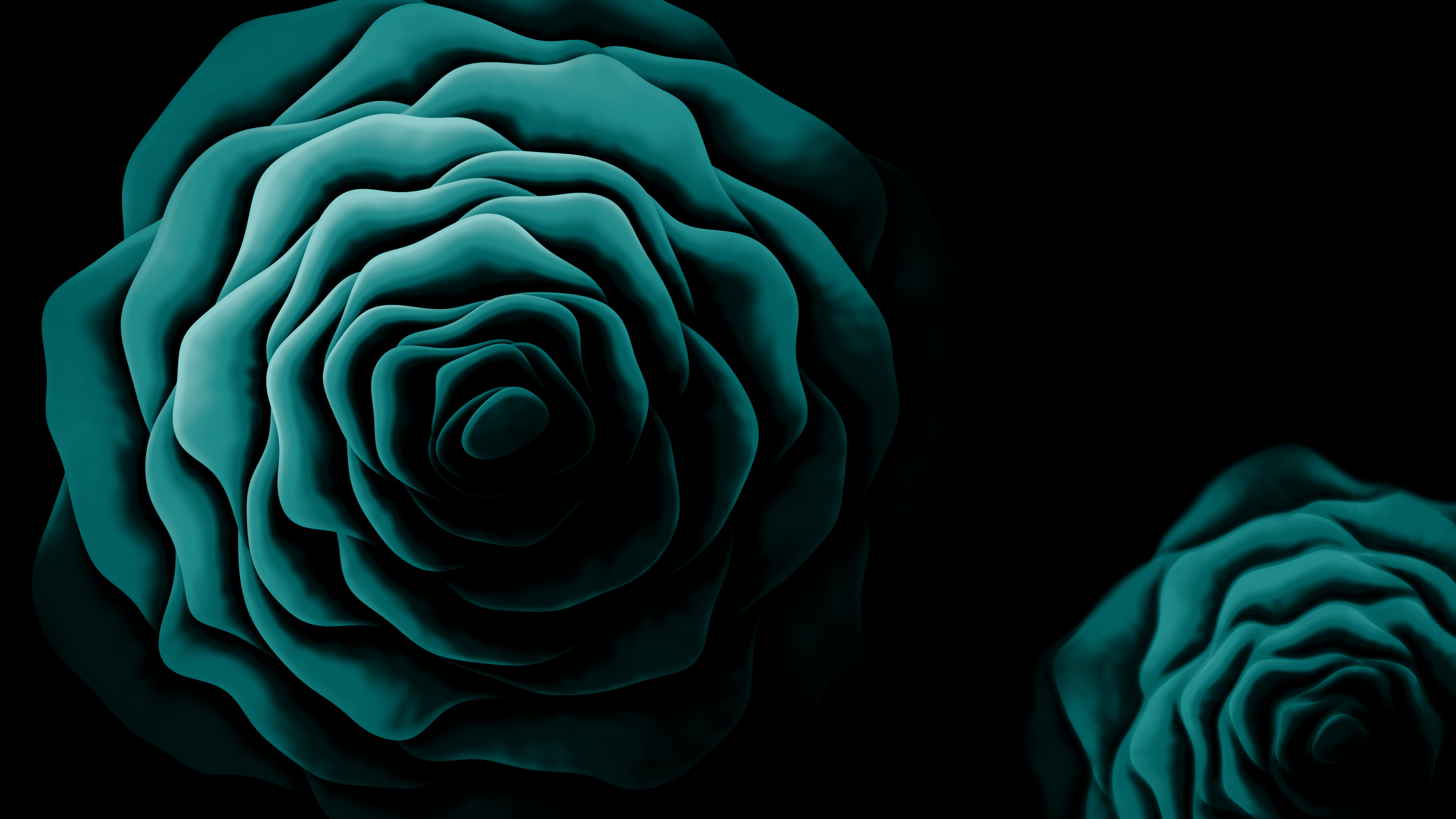 Teal Rose from Above desktop wallpaper in 4K