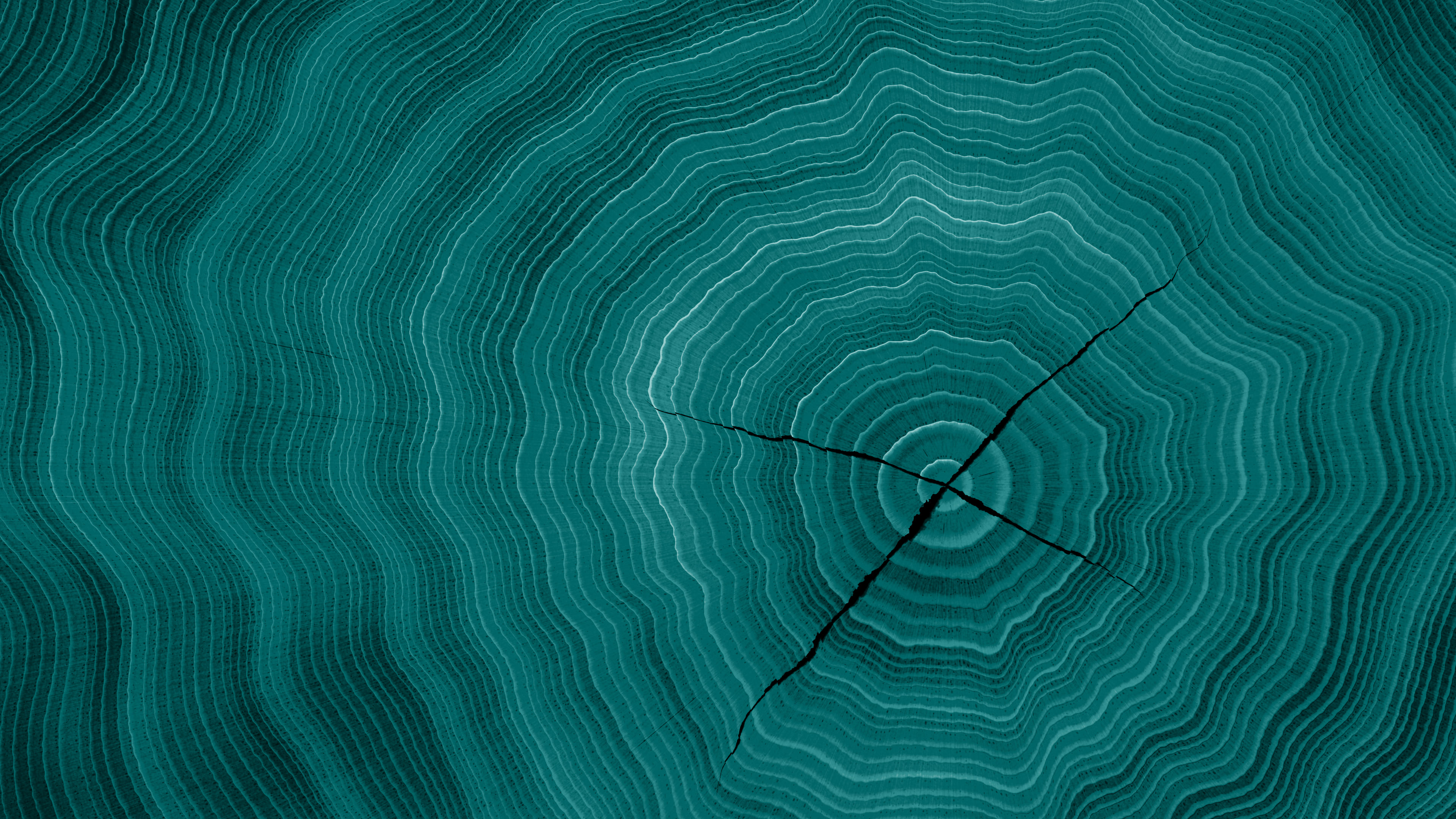 Teal Wood Growth Rings desktop wallpaper in 4K