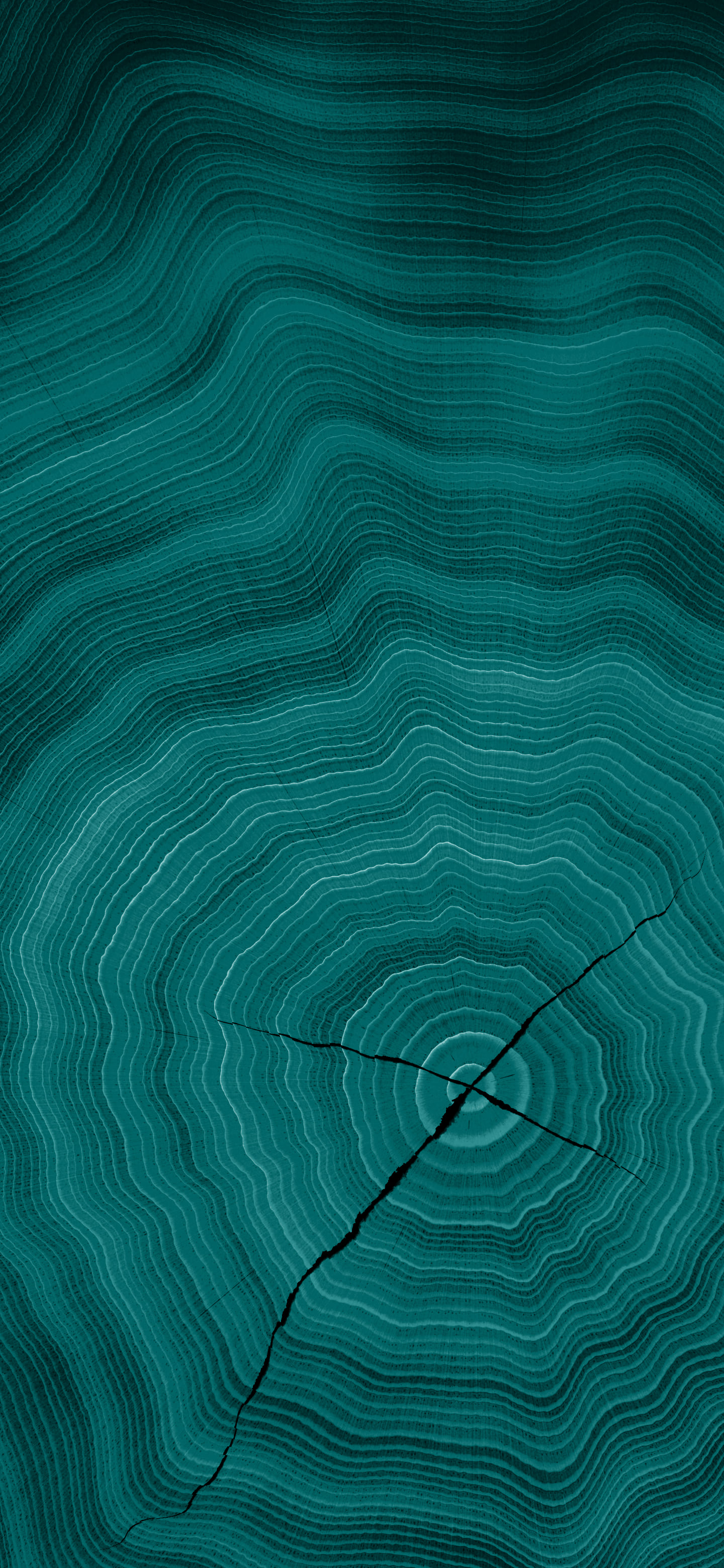 Teal Wood Growth Rings wallpaper for iPhone and Android