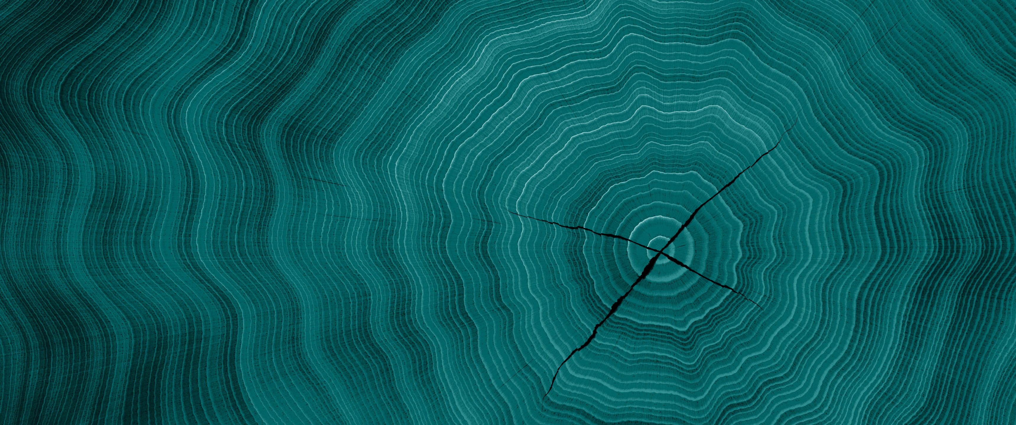 Teal Wood Growth Rings ultrawide wallpaper, 3440 × 1440