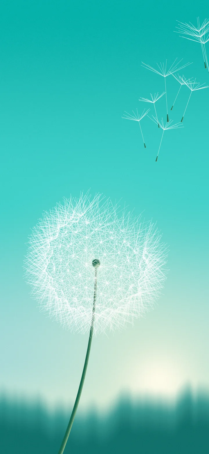 Turquoise Dandelion wallpaper for iPhone and Android