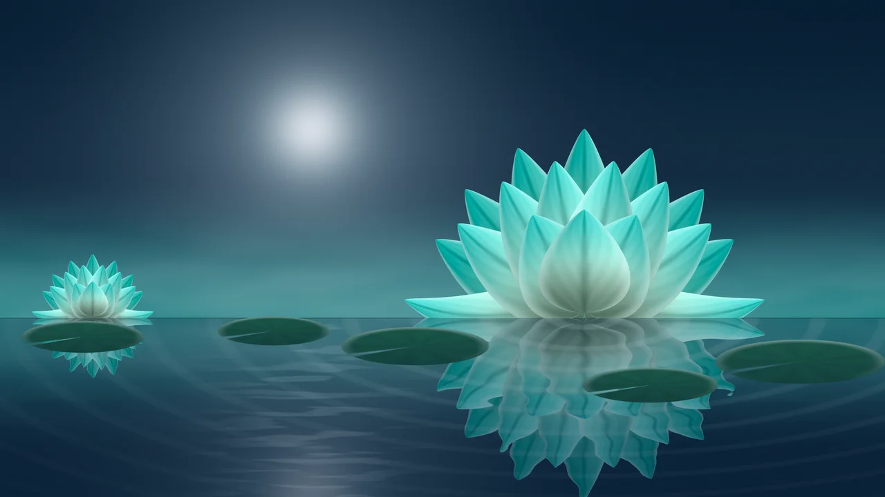 Turquoise Lotus Flower desktop wallpaper in 4K