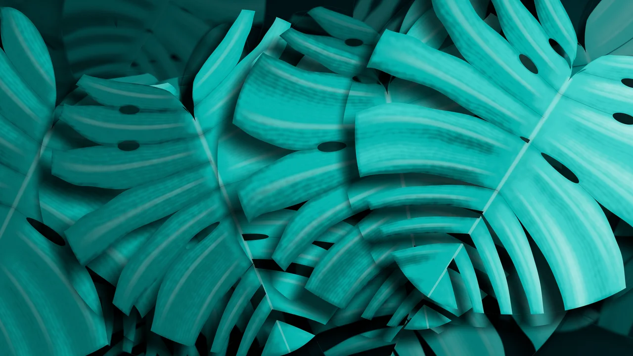 Turquoise Monstera Leaves desktop wallpaper in 4K