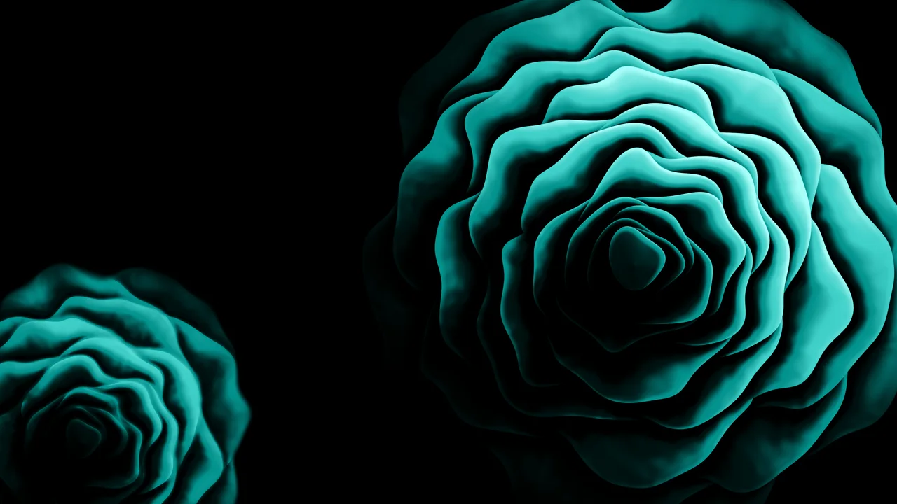 Turquoise Rose from Above desktop wallpaper in 4K