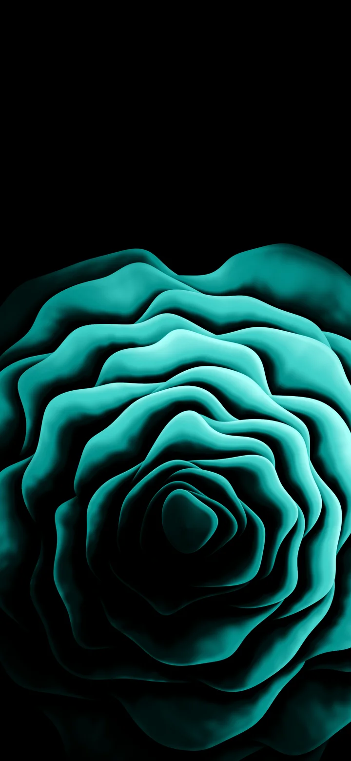 Turquoise Rose from Above wallpaper for iPhone and Android