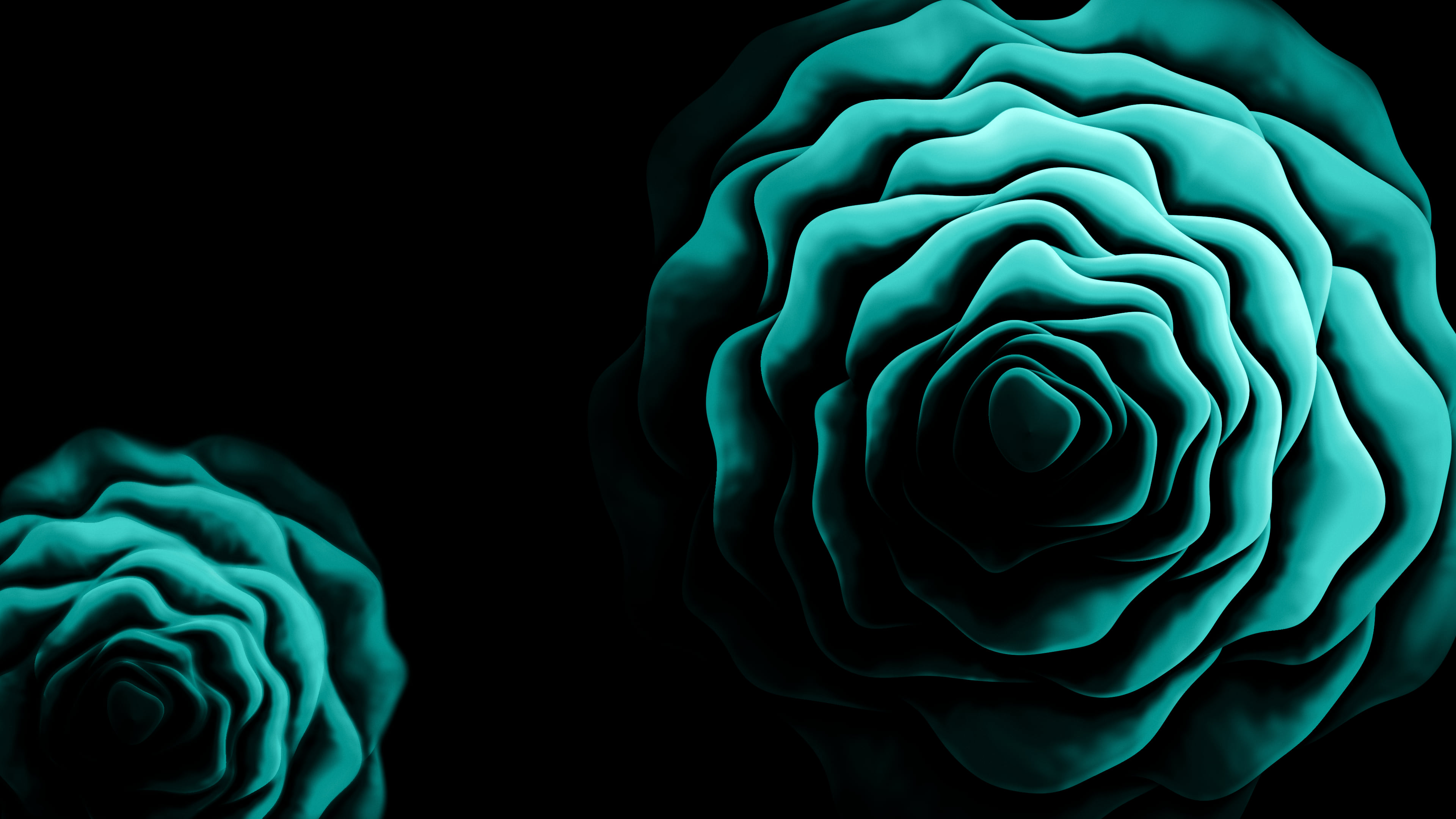 Turquoise Rose from Above desktop wallpaper in 4K