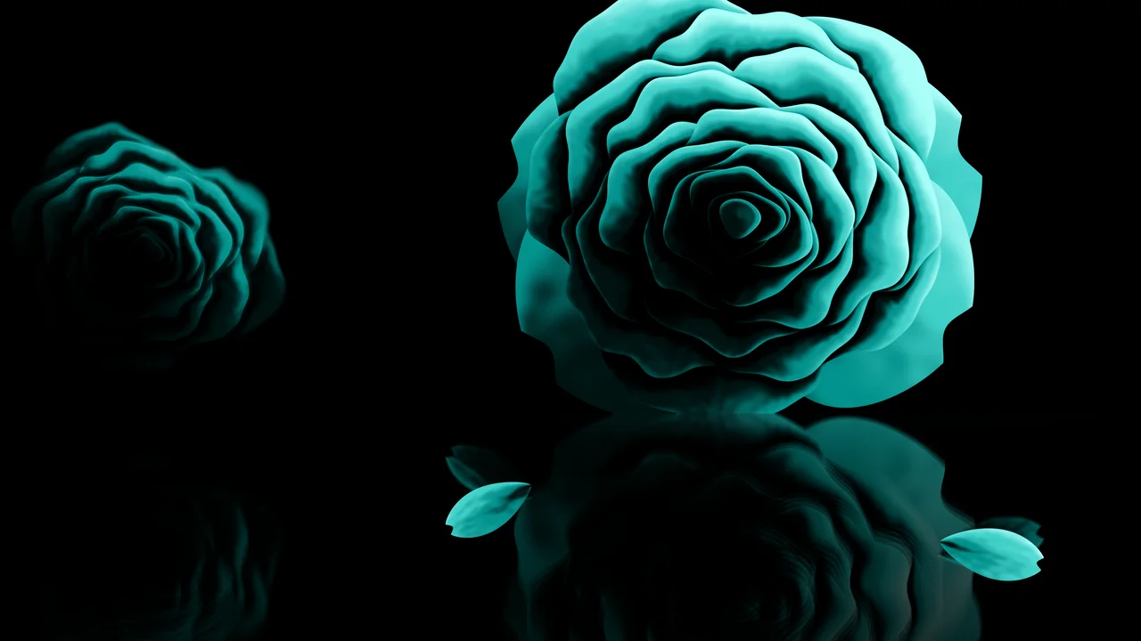Turquoise Rose Reflection desktop wallpaper in 4K
