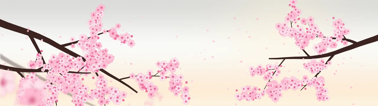 White Cherry Blossom Branch dual monitor wallpaper, 7680 × 2160