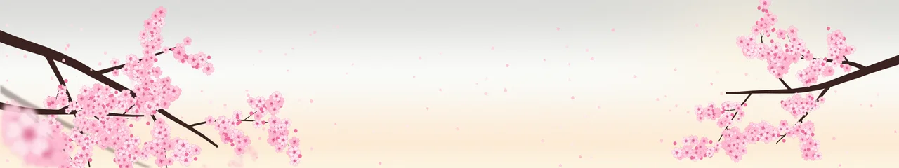 White Cherry Blossom Branch triple monitor wallpaper, 7680 × 1440