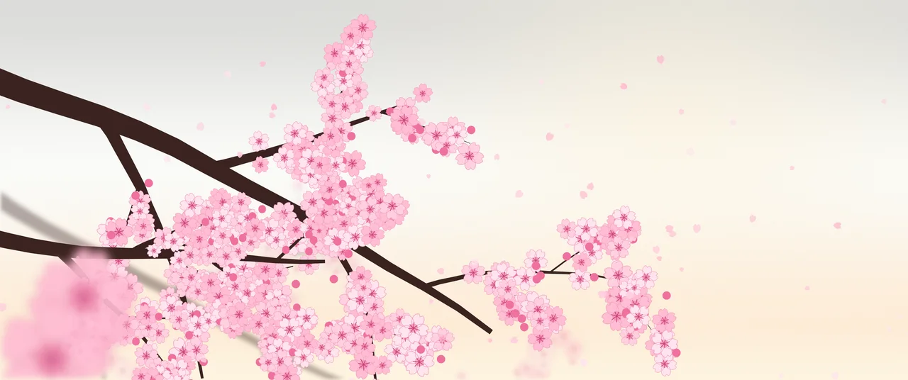 White Cherry Blossom Branch ultrawide wallpaper, 3440 × 1440