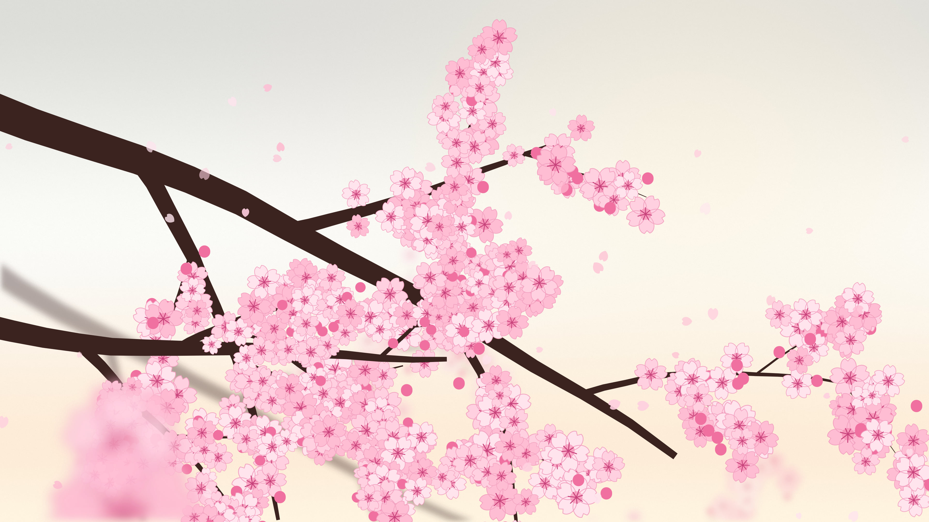 White Cherry Blossom Branch desktop wallpaper in 4K
