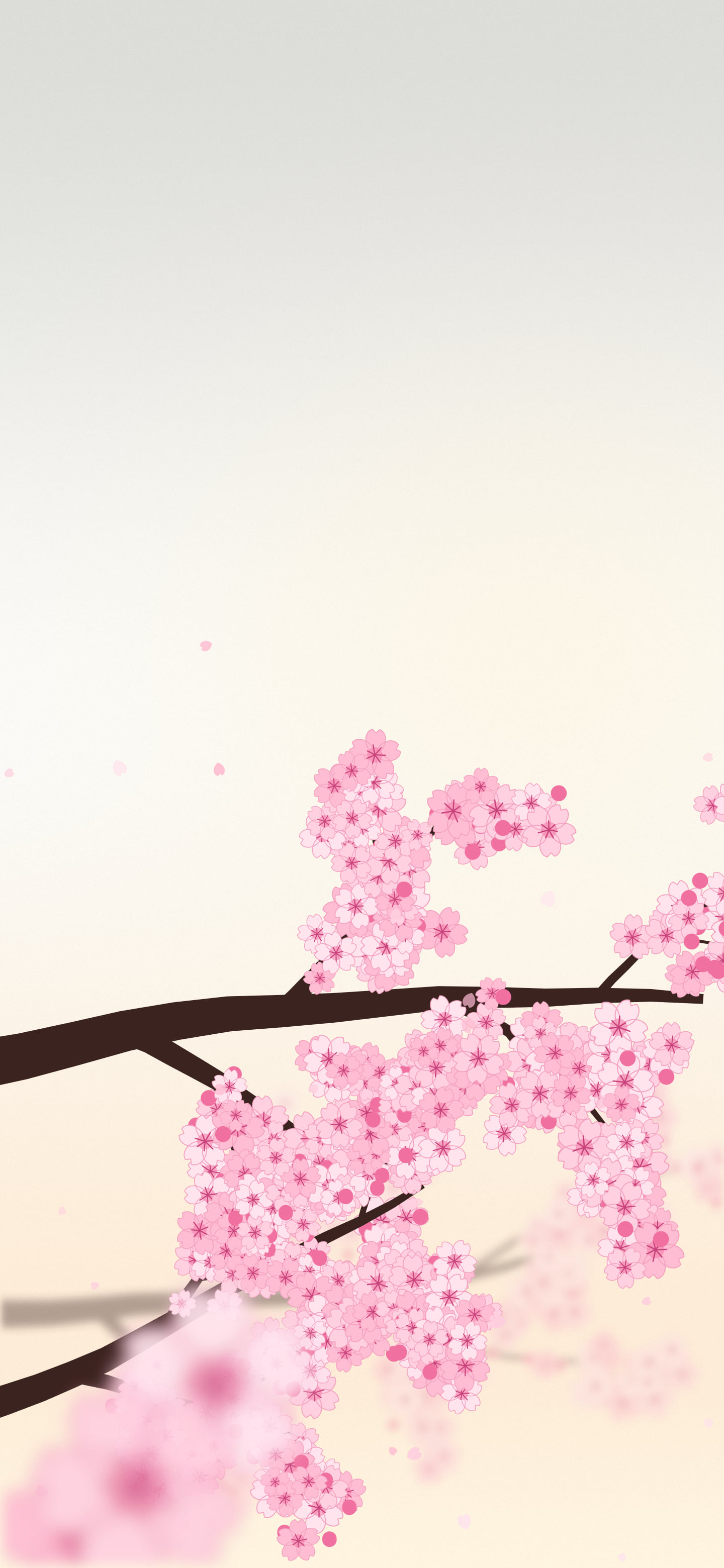 White Cherry Blossom Branch wallpaper for iPhone and Android